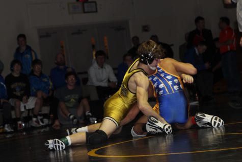 Trojan Wrestlers Move On to State