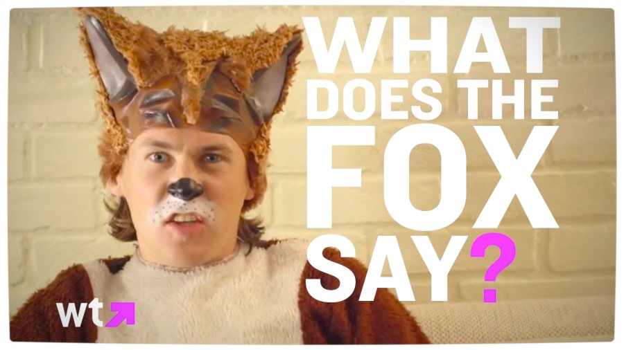 What Does the Fox Say? 1Q 25 A