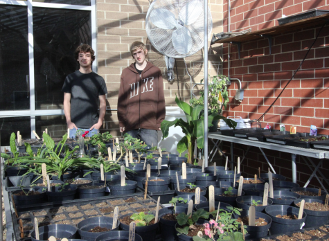 CCEOC Runs a Greenhouse Business