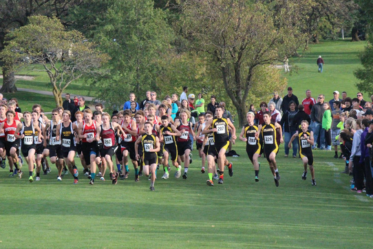 Cross Country Places Well in Shenandoah 