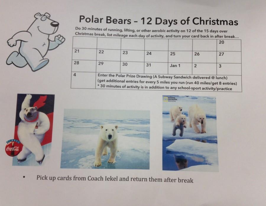 Polar Bears - 12 Days of Christmas 
