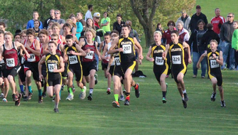 This year, the boys cross country team has 30 runners. 