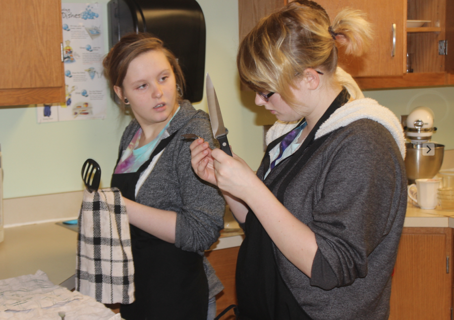 Family Consumer Science Offers a Buffet of Courses