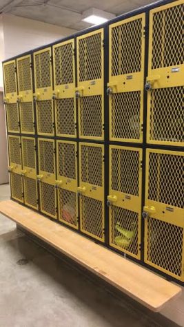 Thefts Seldom Reported at AHS