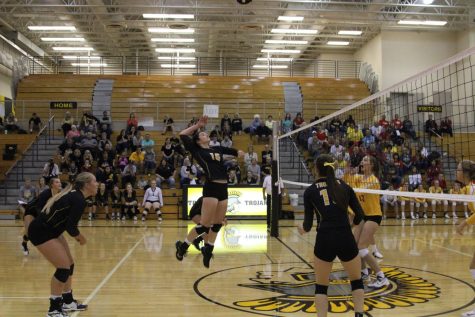 Getting to Know the Class of 2018: Riley Seufert