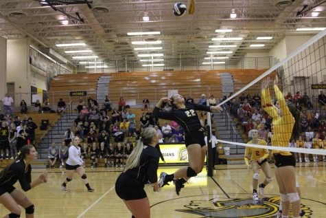 Getting to Know the Class of 2018: Cheyenne Elliott