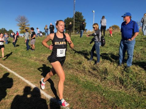 NEWS BRIEF — Trojans Prepare for State Cross Country