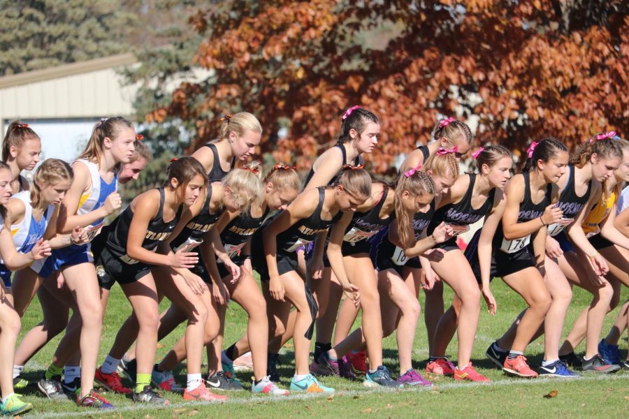 WAIT FOR IT - The Trojan girls get into starting position before their race at State. They left the meet with a seventh-place team finish and a sixth-place all-honors finish from sophomore Taylor McCreedy.