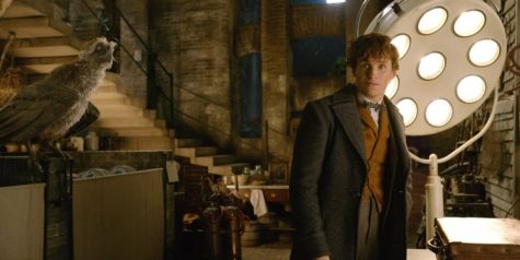 “Fantastic Beasts” is Back — Review