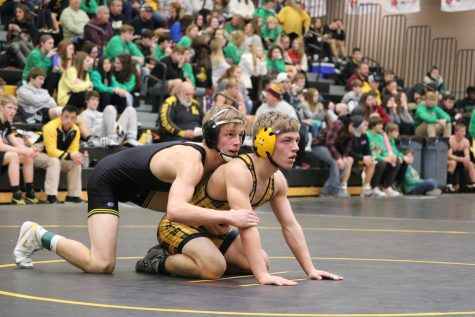 Two Trojans Earn a Rollin Dyer Title