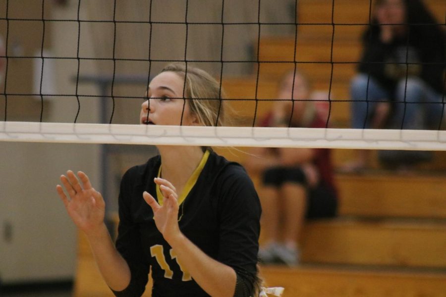 Junior Caroline Pellett gets ready to block at a home game this season. Pellett is second on her team for kills so far this season, with 64.