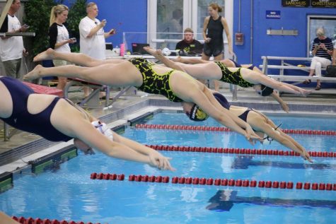 The Life of a Trojan Swimmer
