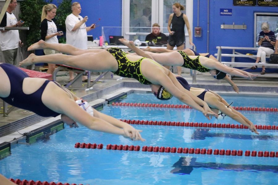Members of the Atlantic swim team dive into the pool on Tuesday against Lewis Central. Practices and home competitions are held at the Nishna Valley YMCA. 