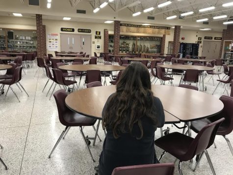 Loneliness and Its Effects