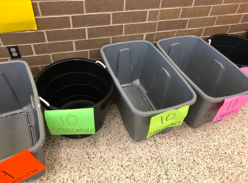There are two totes for each grade in the atrium, one for the food drive and one for the Play-Doh drive.