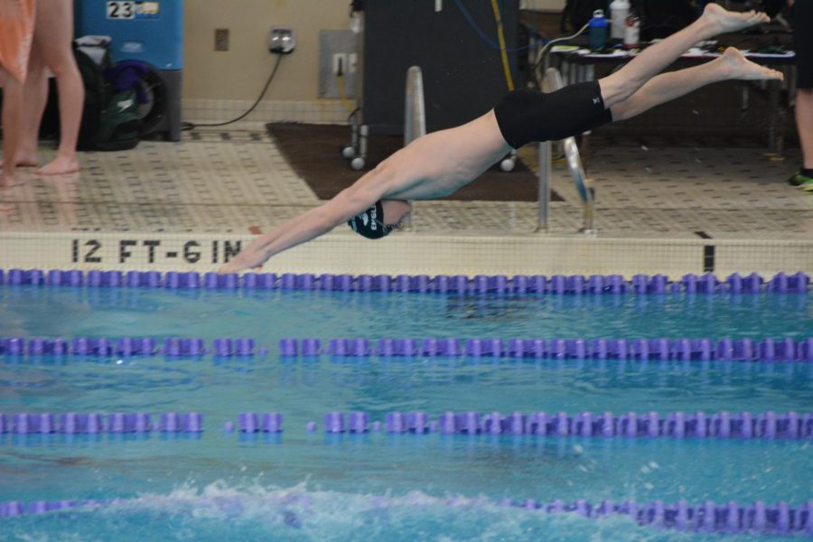 Sophomore Drew Engler dives into the pool. Last season, Engler was the top dog in the 100-yard breaststroke with a 1:08.85.