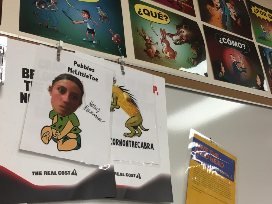 The Pebbles McLittle Toe meme of junior Haley Rasmussen is proudly displayed on Spanish teacher Dan Vargasons whiteboard. Other well-known memes include the Roomba meme of junior Craig Alan Becker and the soccer meme of 2019 grad Alyssa Ginther.