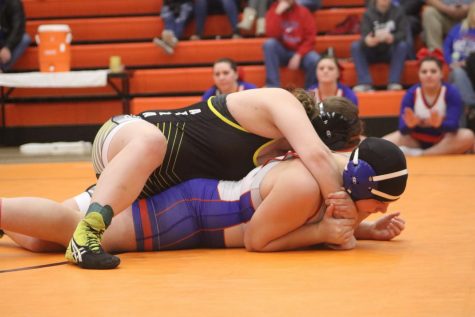 Girls Wrestling Attends State Tournament