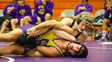 Watchful Week of Wrestling