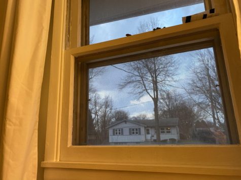 The COVID-19 Diaries