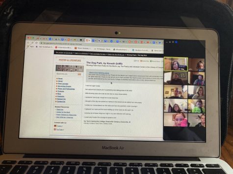 Classes Held Via Zoom
