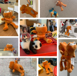 Many Orange Frog stuffed animals are found around the school, displayed in many ways. 