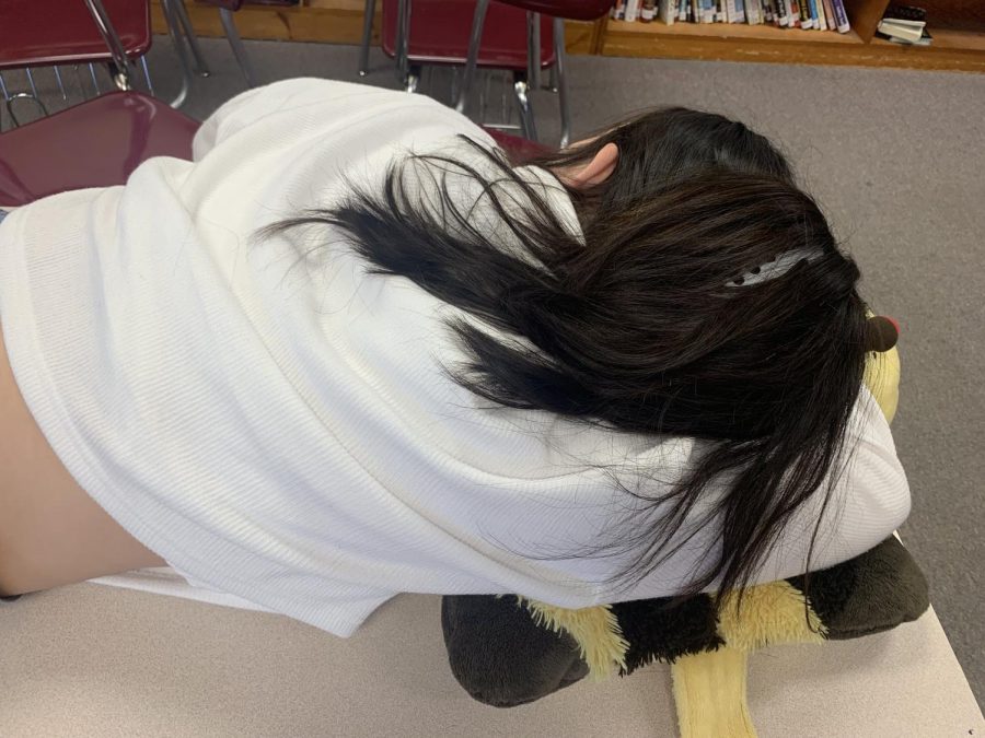 AHS student Eleanor Greving snuggles with a pillow pet in Journalism class.