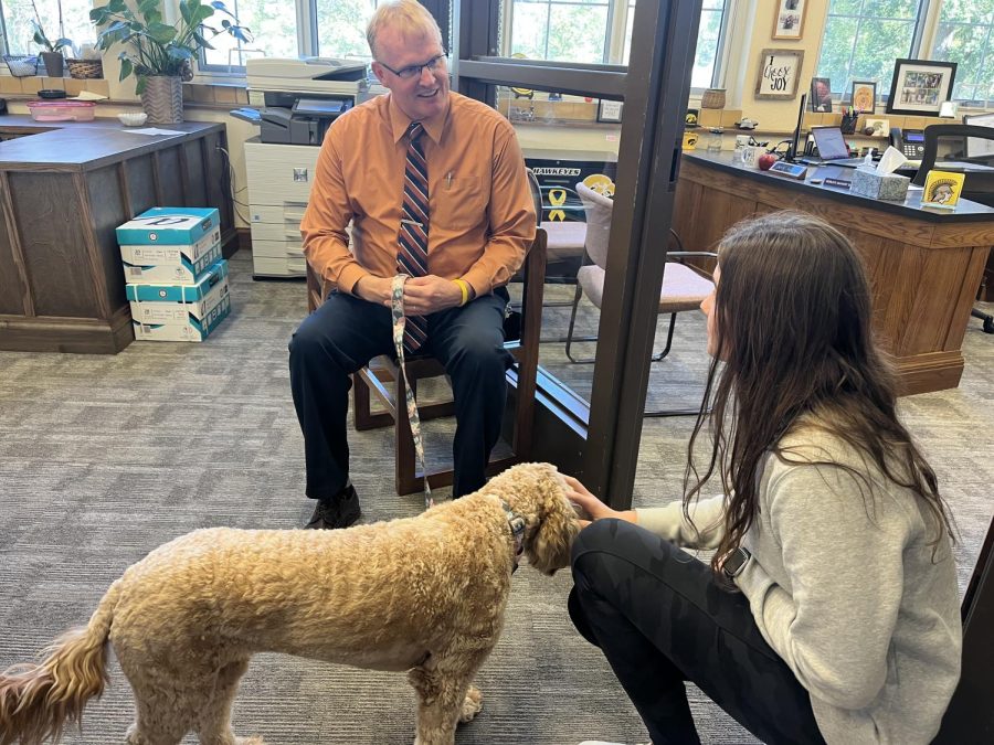 Aden visits with student while Charli receives pets. Charli is a golden doodle.