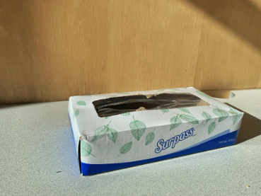 A lone box of Kleenex sits in a classroom.