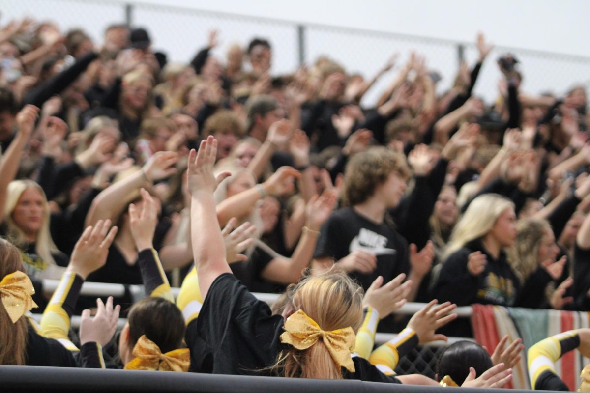 AHS Cheerleaders rile up the student section at the Football game. At each game, the student section uses a different theme, with the most recent one being blackout.