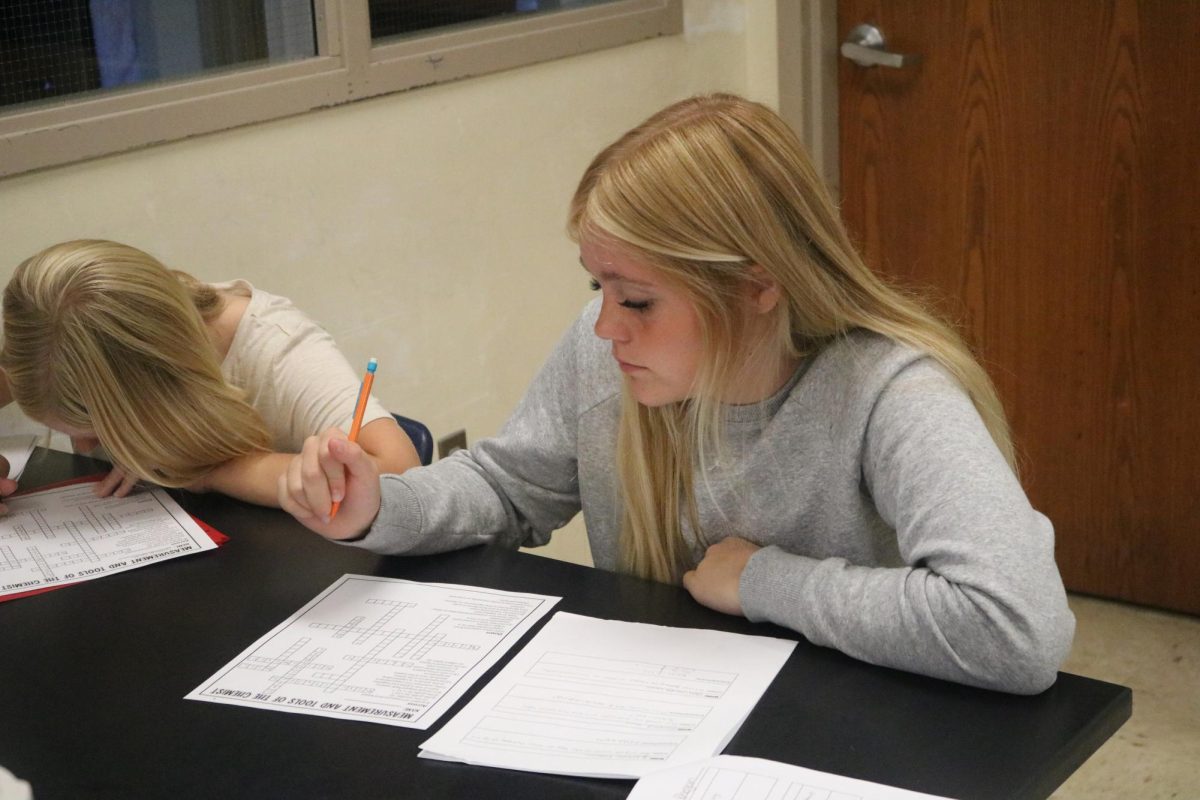 Junior Rhegan Butler works on crossword puzzle in Mrs. Pauleyś chemistry class!