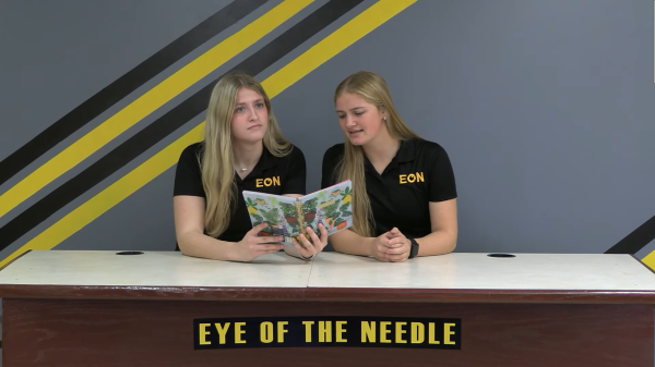 Eye of the Needle