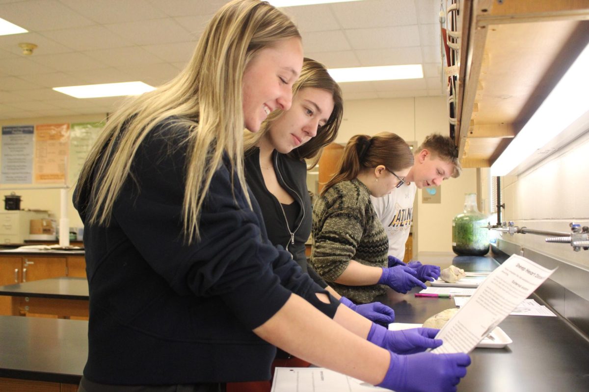 What Is That?-- Students Makenna Schroder and Ali Williams share laughs during their anatomy dissection. 