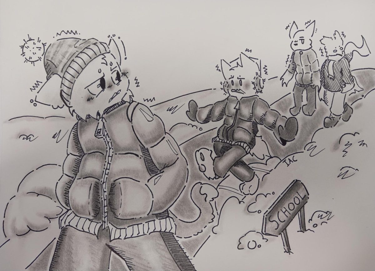 Winter Hazards