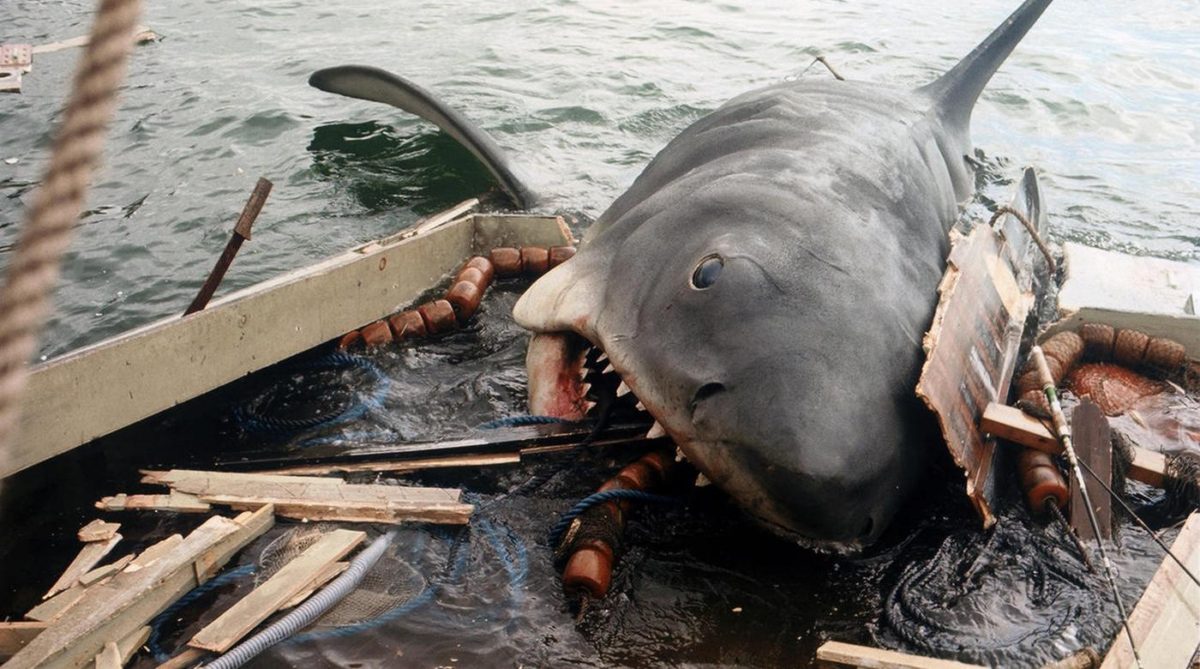 A still from “Jaws: 50th Anniversary.” Credit belongs to Universal Pictures.