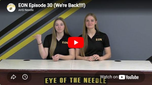 Eye of the Needle