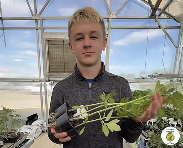 Sophomore Keaton Schroeder displays one of the many plants to be sold by the FFA Atlantic Chapter.